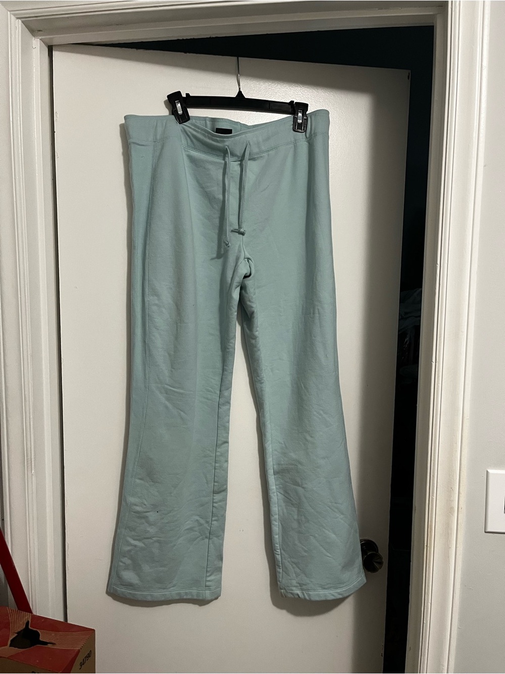 Champion Light Mint Drawstring Track Pants Never worn